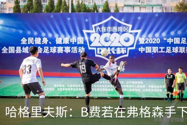 哈格里夫斯：B费若在弗格森手下说这话，就没机会再上场了