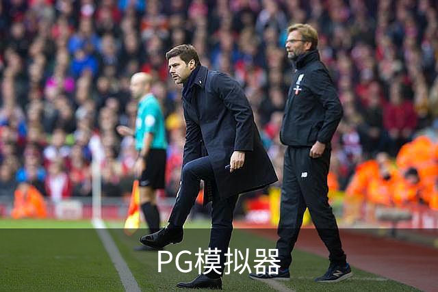 PG模拟器公司简介